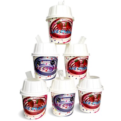 100 pots Crème Glacée Flurry 300 ml